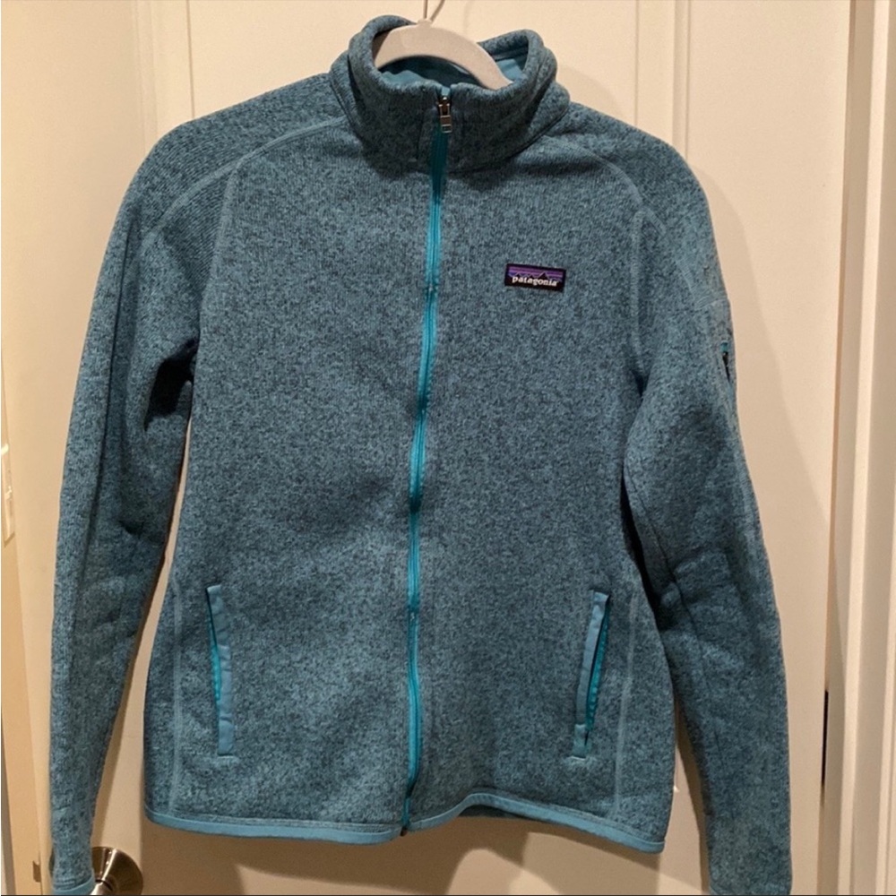 Patagonia Blue Full-Zip Fleece Hoodie